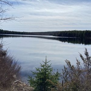 Meet your Posher, Justine